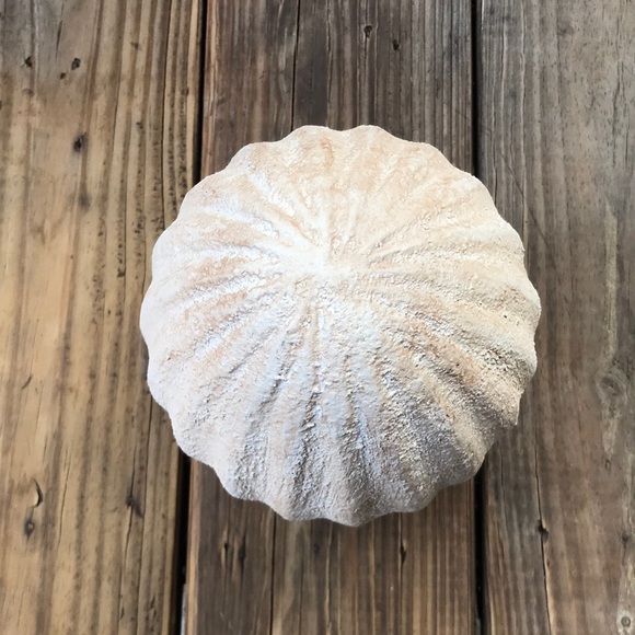 Pottery Barn Country Chic Rustic Weathered Small Size Handcrafted Easter Egg 🐰 - Picture 5 of 16